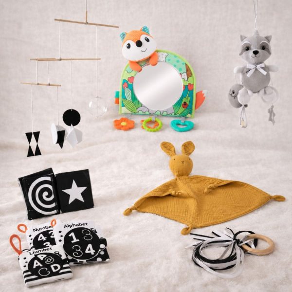 Alternative view of 1_KIT INICIA FULL (0 a 3 meses)