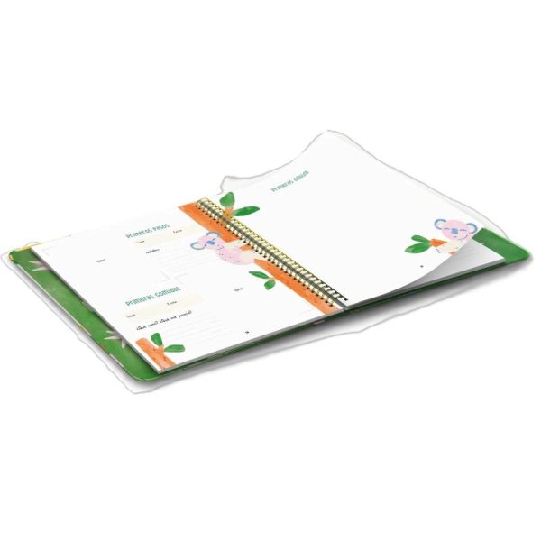 Alternative view of Bitácora "Mis primeros años" Amanuta